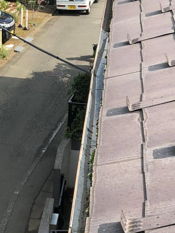 雨どい