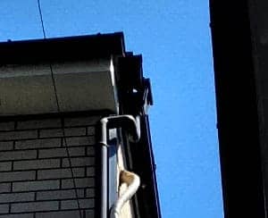 雨どい