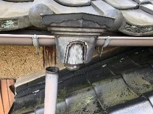雨どい