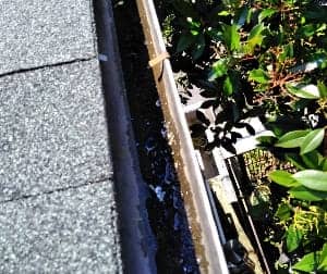 雨どい