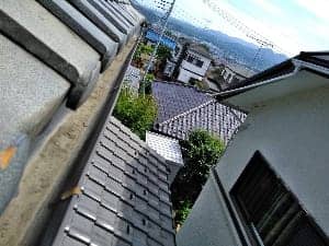 雨どい
