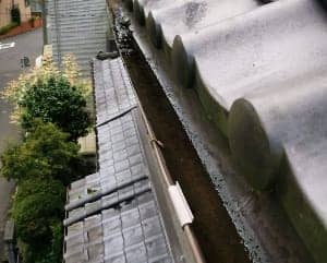 雨どい