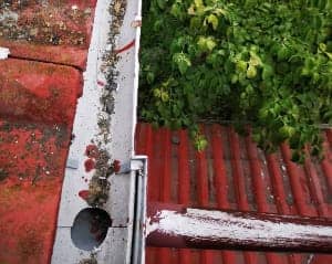 雨どい