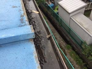雨どい