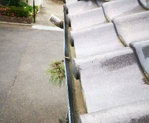 雨どい