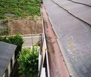 雨どい