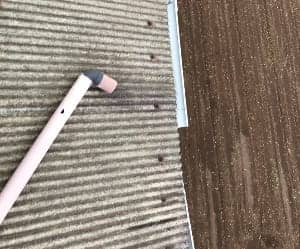 雨どい