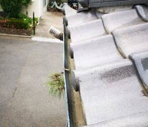 雨どい