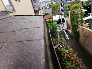 雨どい