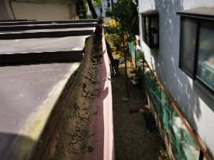 雨どい