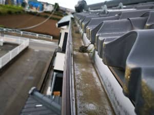 雨どい
