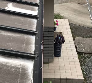 雨どい