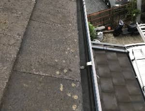 雨どい