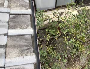 雨どい