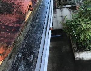 雨どい