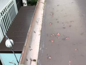 雨どい