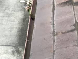 雨どい