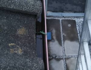 雨どい