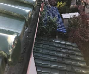雨どい