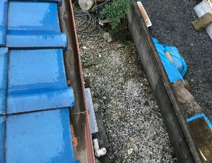 雨どい