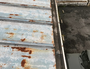 雨どい