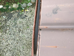 雨どい
