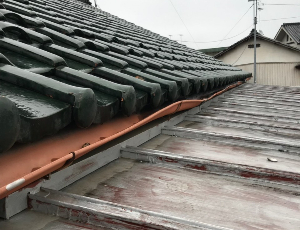 雨どい