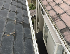 雨どい
