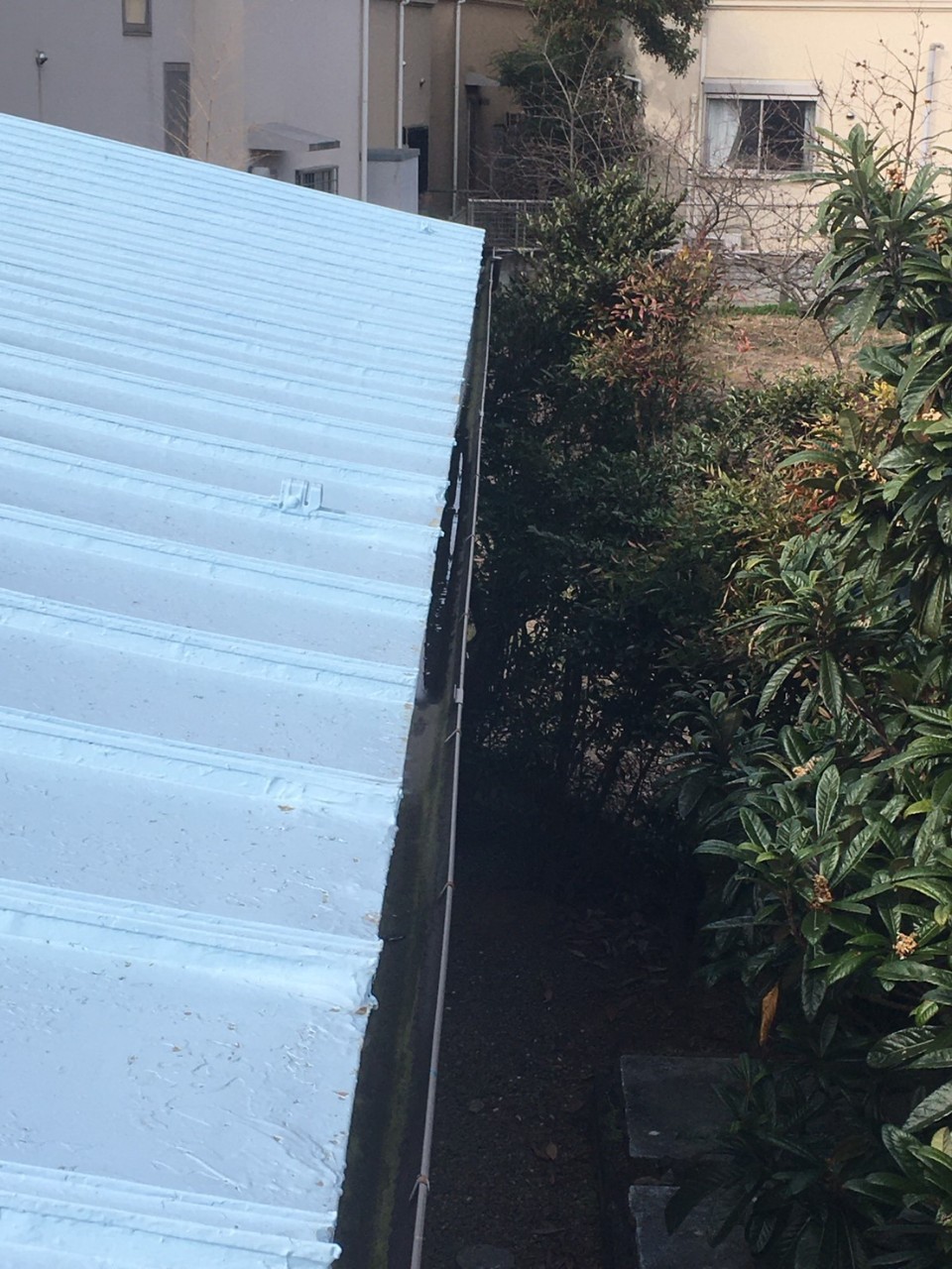 雨どい